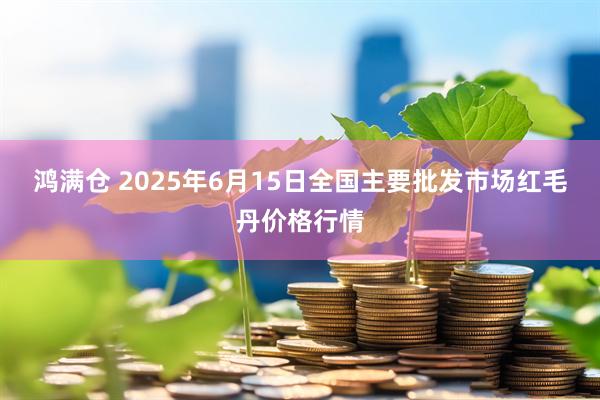 鸿满仓 2025年6月15日全国主要批发市场红毛丹价格行情