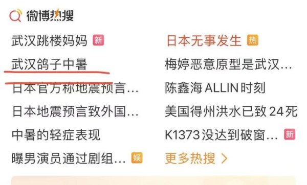 微豪配资 “武汉鸽子中暑”火上热搜！是鸽子吗？真热晕了？