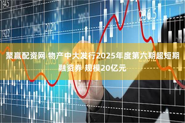 聚赢配资网 物产中大发行2025年度第六期超短期融资券 规模20亿元