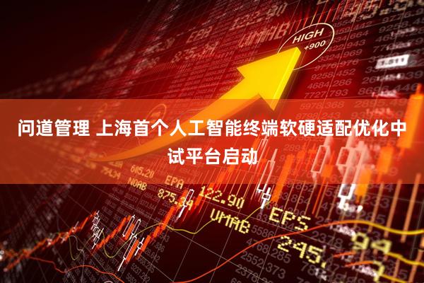 问道管理 上海首个人工智能终端软硬适配优化中试平台启动