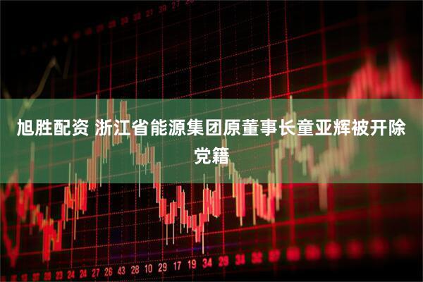 旭胜配资 浙江省能源集团原董事长童亚辉被开除党籍
