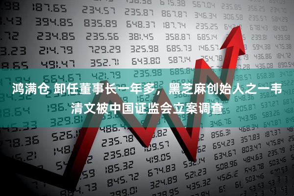 鸿满仓 卸任董事长一年多，黑芝麻创始人之一韦清文被中国证监会立案调查